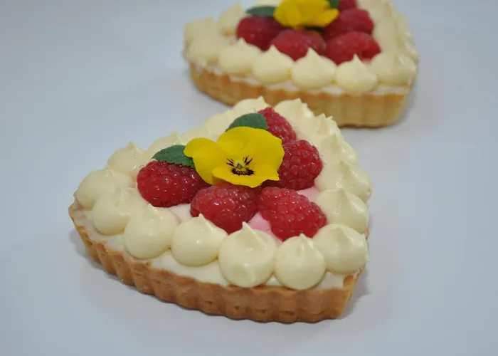 Frühstückspension Gloriett Panzio